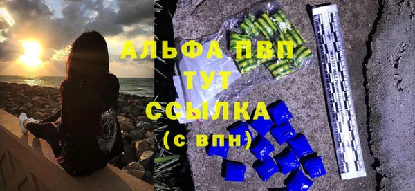индика Нефтегорск