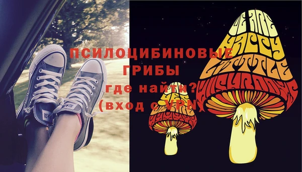 индика Нефтегорск