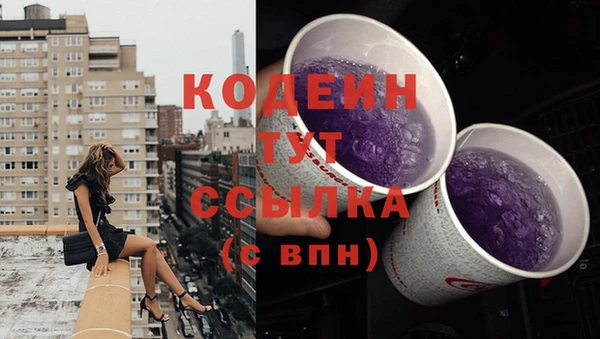 индика Нефтегорск