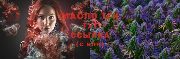 индика Нефтегорск