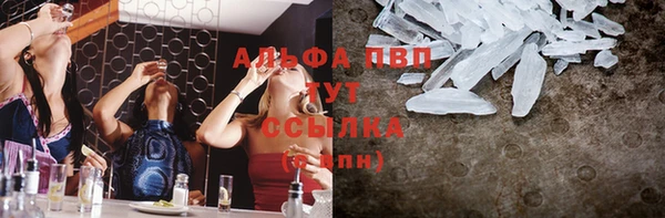 индика Нефтегорск