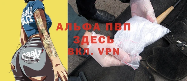 индика Нефтегорск