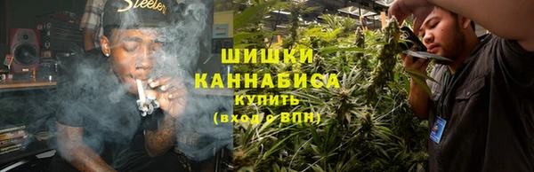 индика Нефтегорск