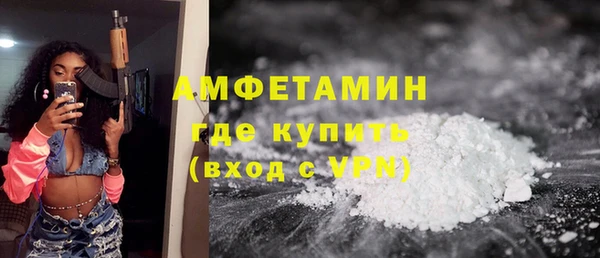 индика Нефтегорск