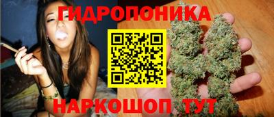 молекула духа Гусев