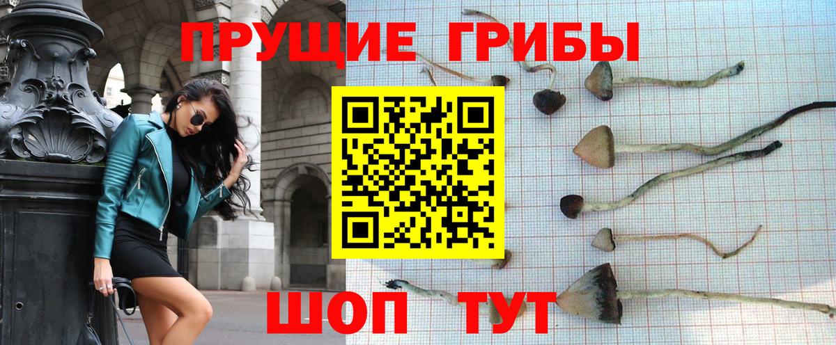 Псилоцибиновые грибы Cubensis  Галлюциногенные грибы MAGIC MUSHROOMS  Вход с VPN  Усолье-Сибирское 