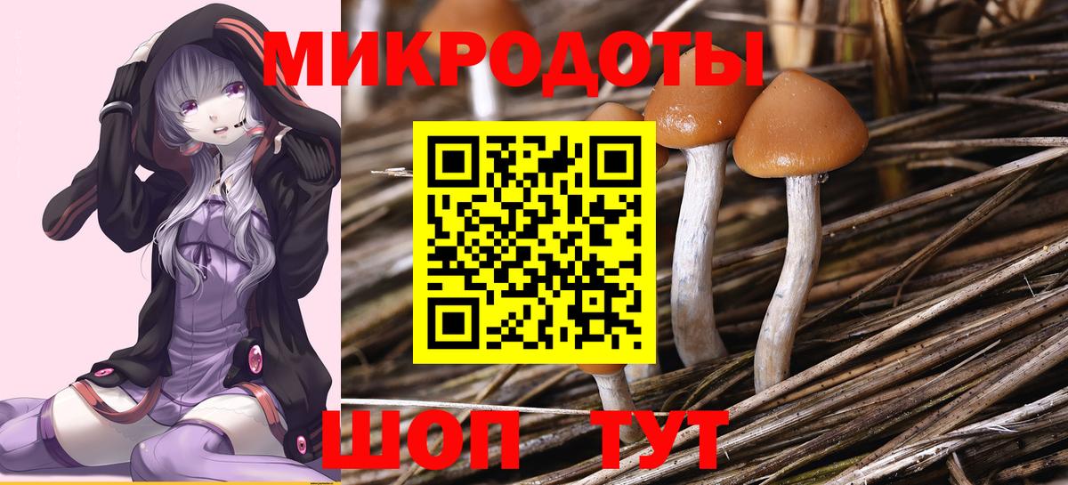 Псилоцибиновые грибы Psilocybine cubensis Усолье-Сибирское